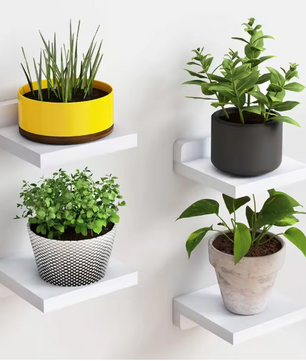 Set van 4 Kleine Wandplanken – Houten Zwevende Planken, Decoratief & Ruimtebesparend