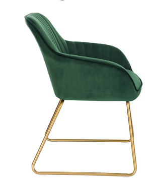 Set van 2 Fluwelen Eetkamerstoelen – Met Armleuningen & Metalen Poten, Modern en Comfortabel
