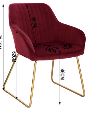 Set van 2 Fluwelen Eetkamerstoelen – Met Armleuningen & Metalen Poten, Modern en Comfortabel
