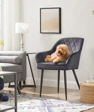 Set van 6 Fluwelen Eetkamerstoelen – Metalen Poten & Armleuningen, Modern en Comfortabel