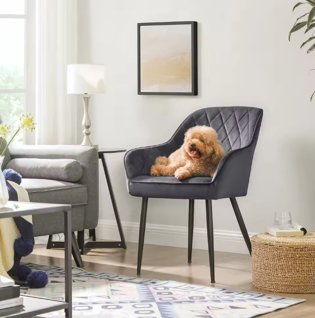 Set van 6 Fluwelen Eetkamerstoelen – Metalen Poten & Armleuningen, Modern en Comfortabel