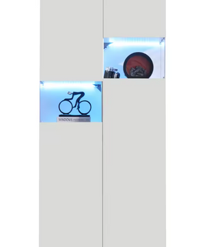 Vitrinekast met LED-Verlichting – Hoge Kast met Acryl Zijkanten 80x38x170 cm