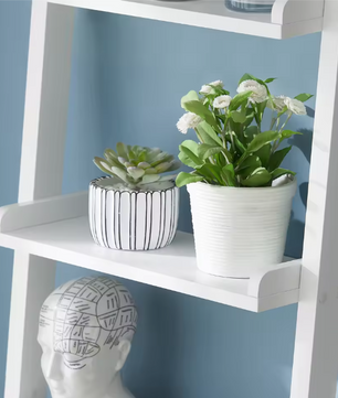 Ladder Boekenkast Wit – 5 Niveaus, MDF Wandrek & Opbergplank