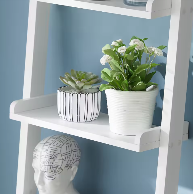 Ladder Boekenkast Wit – 5 Niveaus, MDF Wandrek & Opbergplank