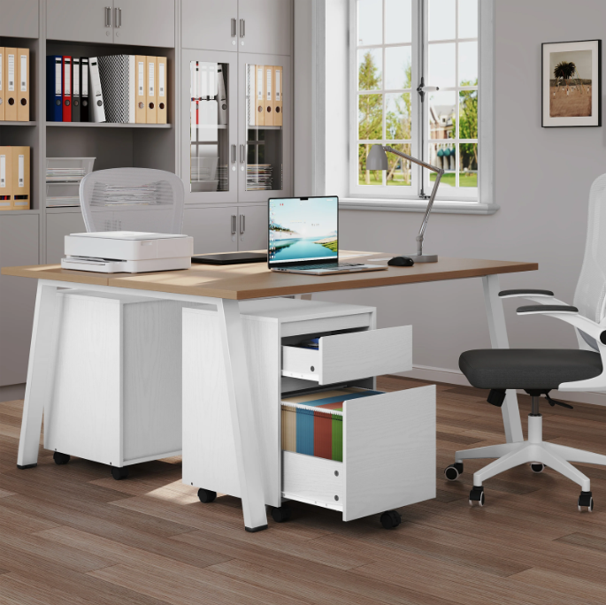 Mobiele Archiefkast met 2 Lades – 40x56x40 cm, Verrijdbaar Design