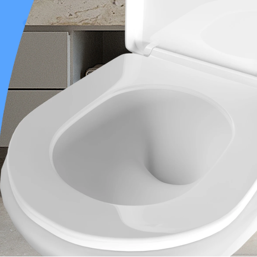 Premium D-vormige toiletbril met softclose, quick release en verstelbare scharnieren