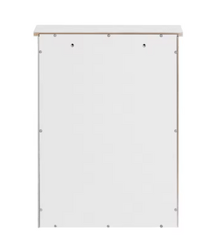 Wandkast met Deur – Hangende Badkamerkast met Verstelbare Plank, Compact en Multifunctioneel