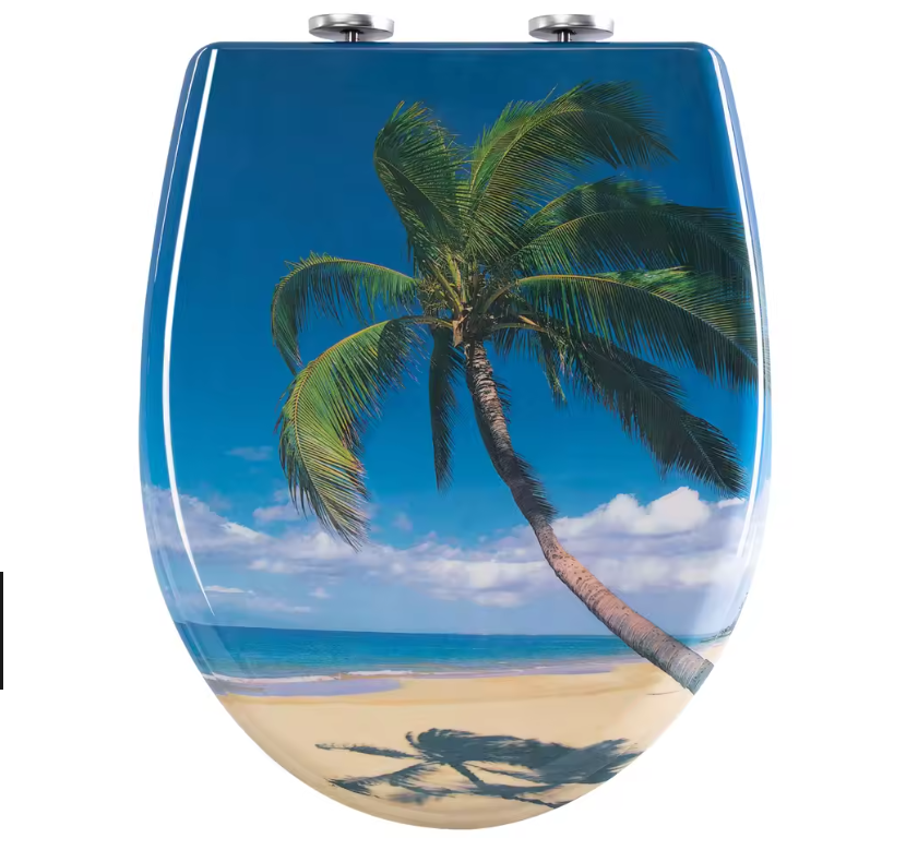 Ovaal Toiletdeksel Duroplast met Soft-Close, Antibacterieel en Snelsluiting