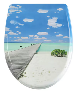 Ovaal Toiletdeksel Duroplast met Soft-Close, Antibacterieel en Snelsluiting