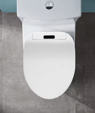 Slimme Bidettoiletbril met Afstandsbediening, Verwarmde Zitting en LED-licht