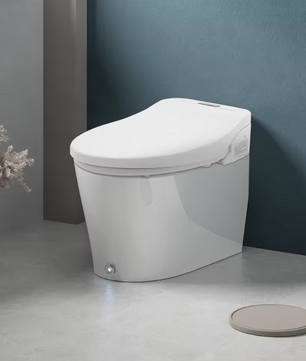 Slimme Bidettoiletbril met Afstandsbediening, Verwarmde Zitting en LED-licht