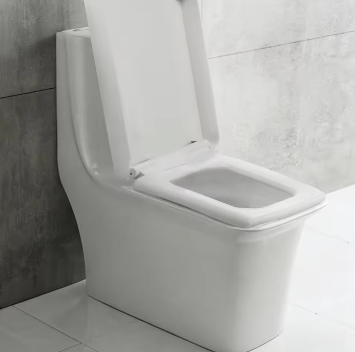 Vierkante Toiletzitting met Soft-Close, Anti-Bacterieel en Verwijderbare Deksel