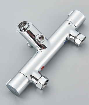 Thermostatische Bad- en Douchekraan – Mengkraan voor Badkamer en Bad