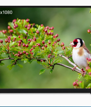 18 inch Draagbare Full HD IPS Monitor – 100Hz HDR Tweede Scherm met USB-C en HDMI