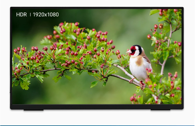 18 inch Draagbare Full HD IPS Monitor – 100Hz HDR Tweede Scherm met USB-C en HDMI