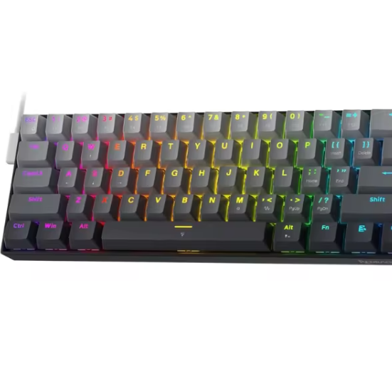 60% Mechanisch Gaming Toetsenbord – 61 Toetsen Rapid Trigger met RGB en 8K Polling