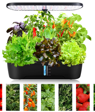 Hydroponische Kruidentuin met LED Groeilamp – Indoor Kweek Systeem met Timer en Waterreservoir