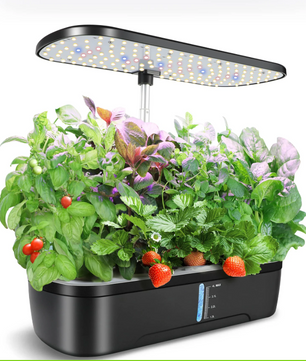 Hydroponische Kruidentuin met LED Groeilamp – Indoor Kweek Systeem met Timer en Waterreservoir