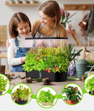 Hydroponische Kruidentuin met LED Groeilamp – Indoor Kweek Systeem met Timer en Waterreservoir