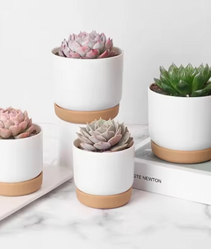 Mini Bloempot van Kunststof met Keramieklook – Kleine Plantenpot met Drainagegat voor Succulenten en Cactus