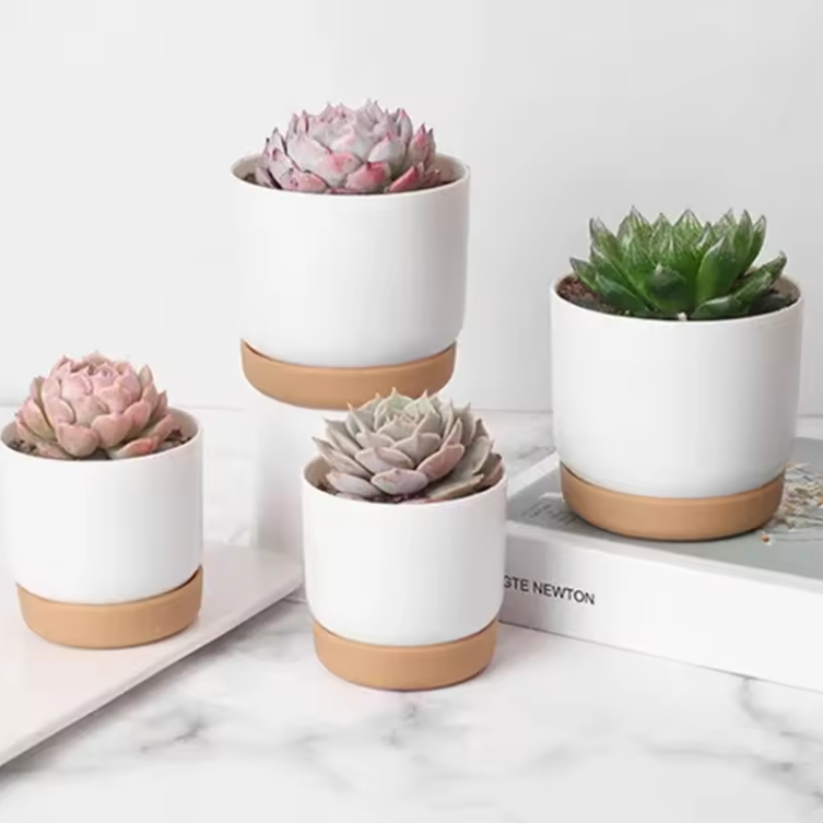 Mini Bloempot van Kunststof met Keramieklook – Kleine Plantenpot met Drainagegat voor Succulenten en Cactus