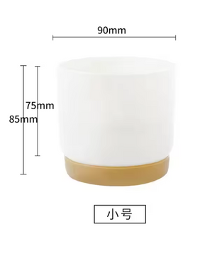 Mini Bloempot van Kunststof met Keramieklook – Kleine Plantenpot met Drainagegat voor Succulenten en Cactus