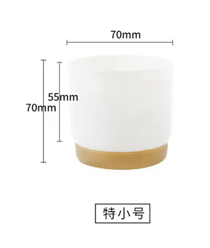 Mini Bloempot van Kunststof met Keramieklook – Kleine Plantenpot met Drainagegat voor Succulenten en Cactus