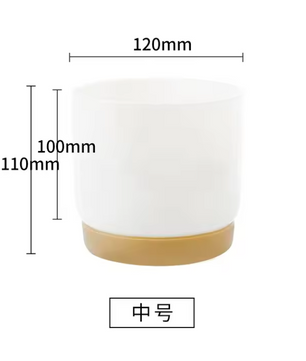 Mini Bloempot van Kunststof met Keramieklook – Kleine Plantenpot met Drainagegat voor Succulenten en Cactus