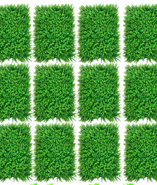 Set van 12 Kunsthaag Panelen – Kunst Buxus Wandpanelen voor Groene Wanddecoratie