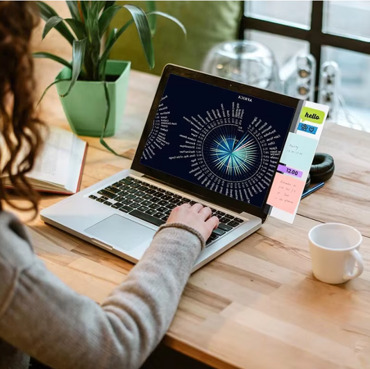 Acryl Monitor Memo Bord – Computer Display Notitiehouder voor Bureau en Werkplek