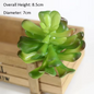 Mini Kunstmatige Vetplant – Decoratieve Lotus Succulent voor Interieur, Realistische Groene Plantdecoratie