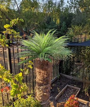 Kunst Palmblad Tak – Tropische Decoratieve Bladeren voor Interieur en Feestdecoratie