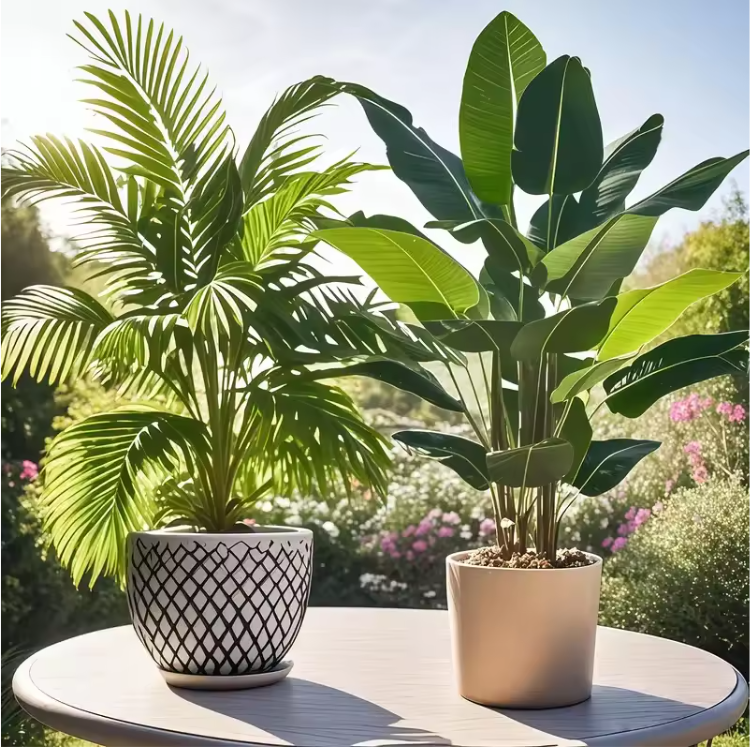 Set van 2 Kunst Palm- en Bananenplanten in Pot – Tropische Decoratieve Kamerplanten