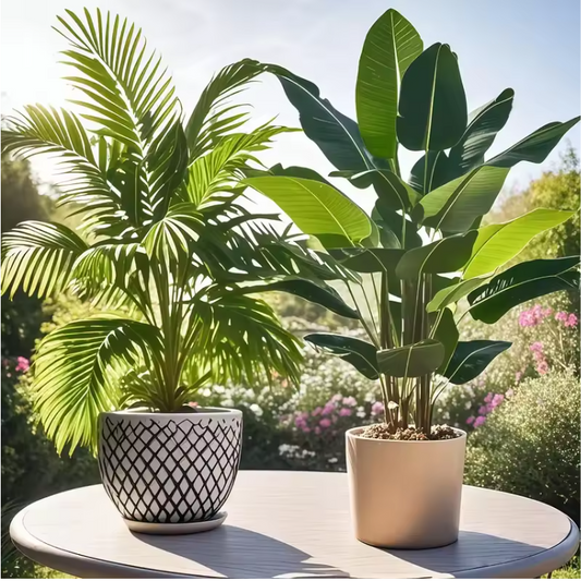 Set van 2 Kunst Palm- en Bananenplanten in Pot – Tropische Decoratieve Kamerplanten