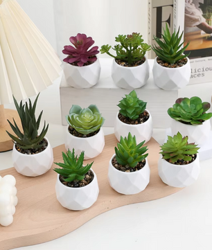 Mini Kunst Succulent Bonsai – Decoratieve Vetplant voor Bureau en Interieur
