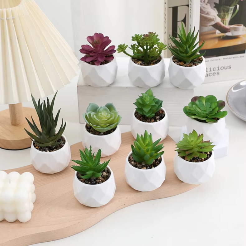 Mini Kunst Succulent Bonsai – Decoratieve Vetplant voor Bureau en Interieur