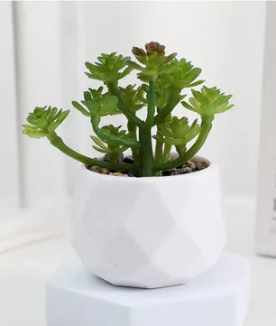 Mini Kunst Succulent Bonsai – Decoratieve Vetplant voor Bureau en Interieur