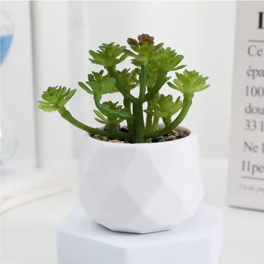 Mini Kunst Succulent Bonsai – Decoratieve Vetplant voor Bureau en Interieur