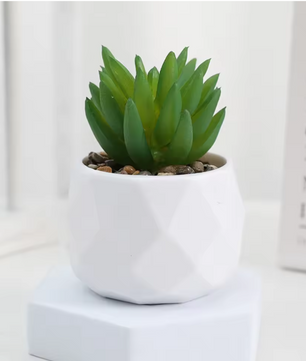 Mini Kunst Succulent Bonsai – Decoratieve Vetplant voor Bureau en Interieur