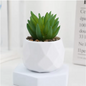 Mini Kunst Succulent Bonsai – Decoratieve Vetplant voor Bureau en Interieur