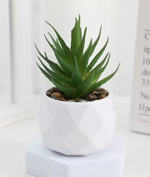 Mini Kunst Succulent Bonsai – Decoratieve Vetplant voor Bureau en Interieur