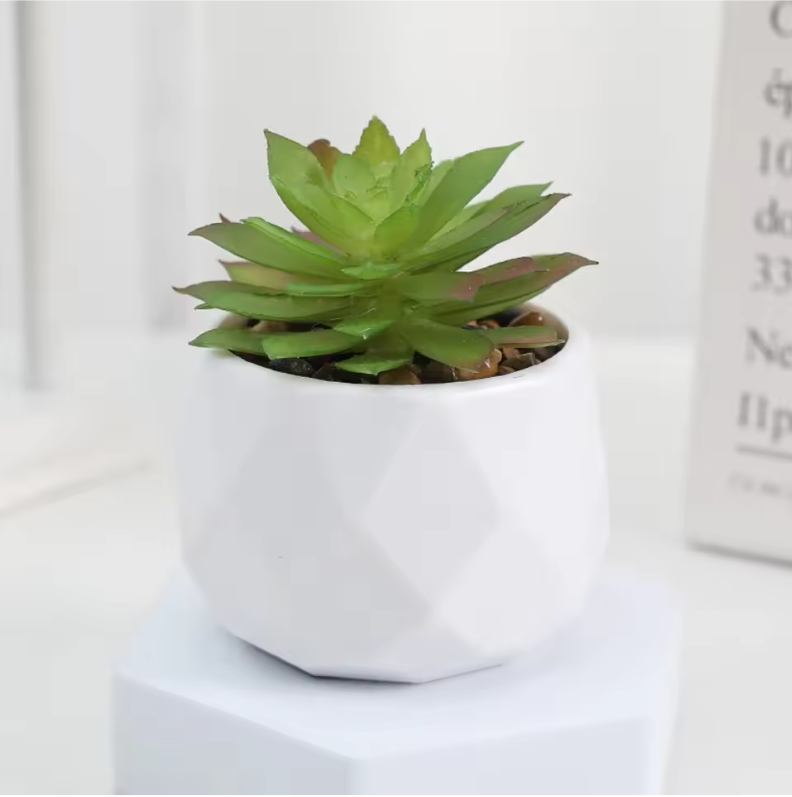 Mini Kunst Succulent Bonsai – Decoratieve Vetplant voor Bureau en Interieur