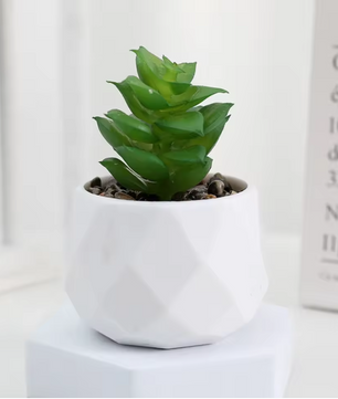 Mini Kunst Succulent Bonsai – Decoratieve Vetplant voor Bureau en Interieur