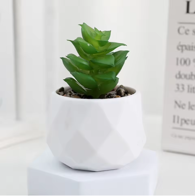 Mini Kunst Succulent Bonsai – Decoratieve Vetplant voor Bureau en Interieur