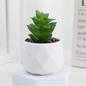 Mini Kunst Succulent Bonsai – Decoratieve Vetplant voor Bureau en Interieur