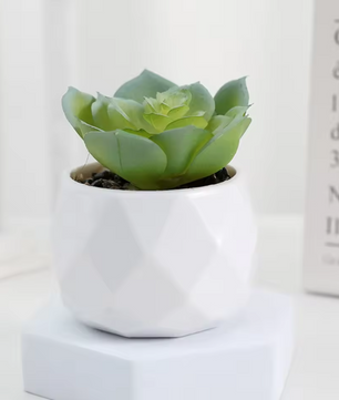 Mini Kunst Succulent Bonsai – Decoratieve Vetplant voor Bureau en Interieur