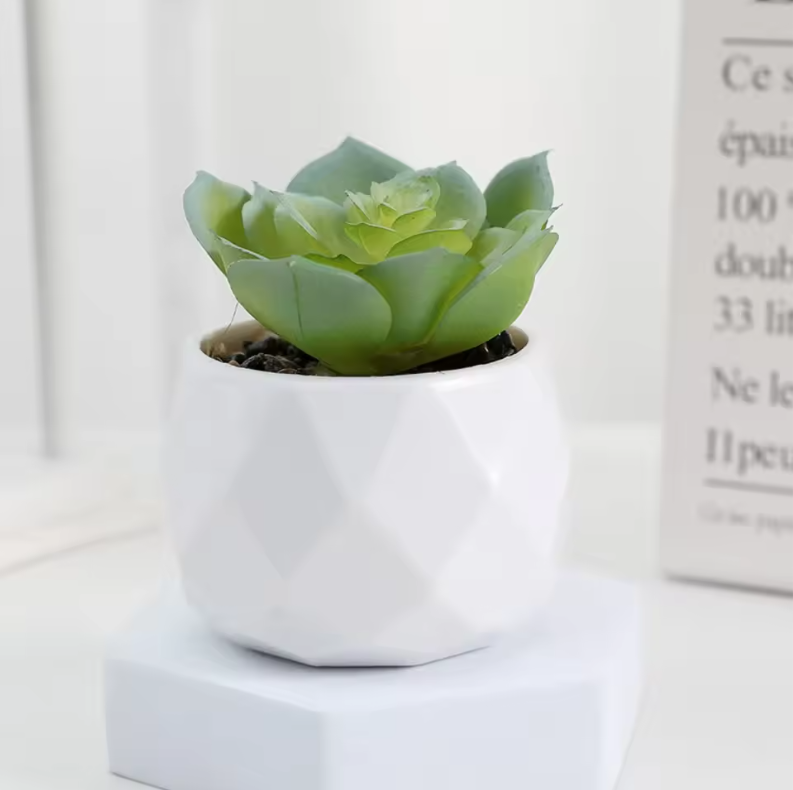 Mini Kunst Succulent Bonsai – Decoratieve Vetplant voor Bureau en Interieur