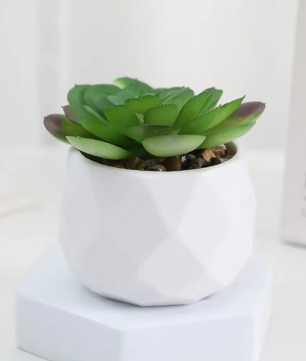 Mini Kunst Succulent Bonsai – Decoratieve Vetplant voor Bureau en Interieur