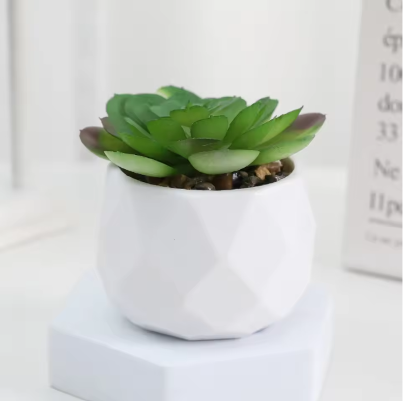 Mini Kunst Succulent Bonsai – Decoratieve Vetplant voor Bureau en Interieur