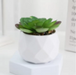 Mini Kunst Succulent Bonsai – Decoratieve Vetplant voor Bureau en Interieur